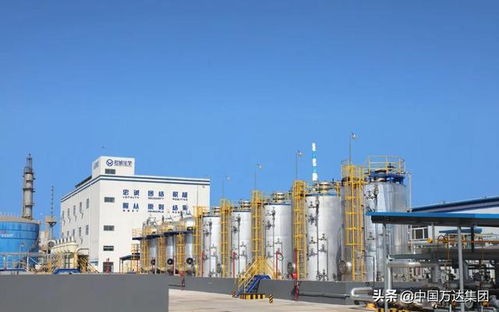 東營2021年重點項目觀摩 萬達集團四大項目引領產(chǎn)業(yè)升級，助推國內(nèi)旅游業(yè)務發(fā)展